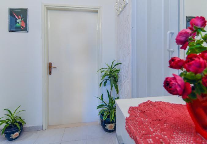 Apartments Luca Ražanac المظهر الخارجي الصورة